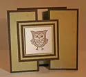 Owl_trifold
