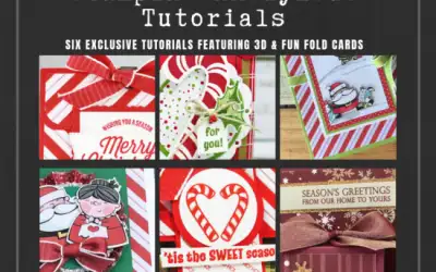 Stampin’ Anonymous Tutorials November 2018