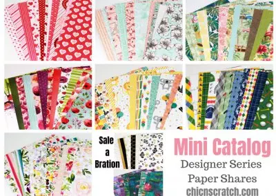 Mini Catalog Designer Series Paper Shares