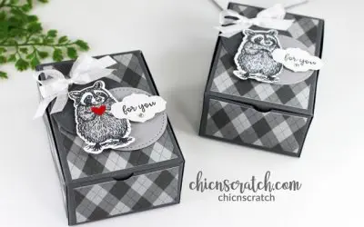 Stampin Anonymous Featured Project