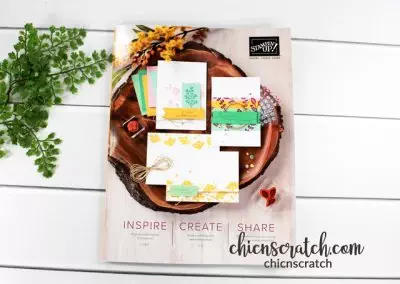 2020 Stampin’ Up! Annual Catalog Haul Video