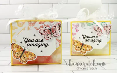 Butterfly Brilliance Box