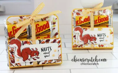 Nuts About Squirrels Candy Holder