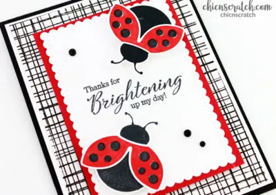 Hello Ladybug Card 2